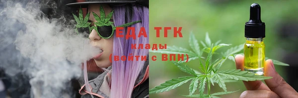 шишки Верхний Тагил