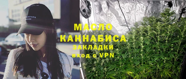 шишки Верхний Тагил