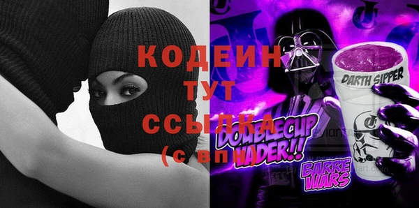 шишки Верхний Тагил
